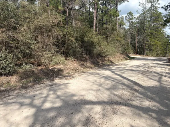 Little Ponderosa Dr, Onalaska, TX 77360