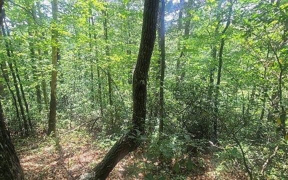 5th image of 0 Wild Turkey Rd