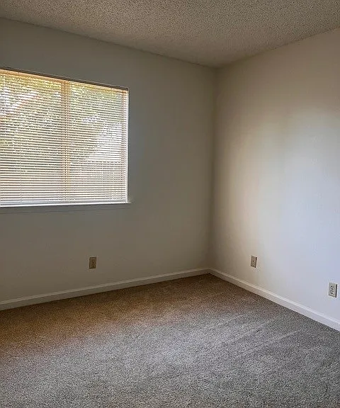 545 Saint Mary Dr — Photo 7