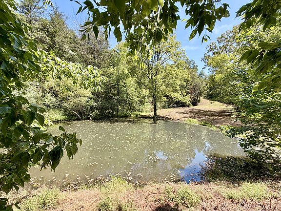 3rd image of 877 Hanna Branch Rd