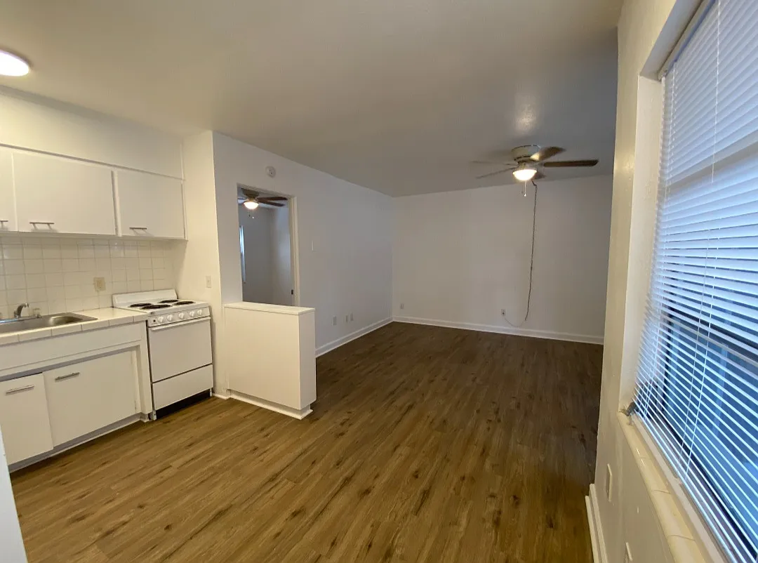 1 bed, 560 sqft, $1,000 — Photo 4
