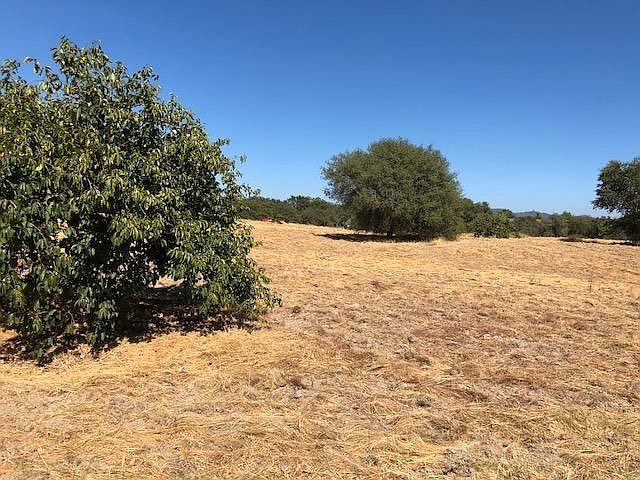 1st image of 1 Sierra Ponds Ln