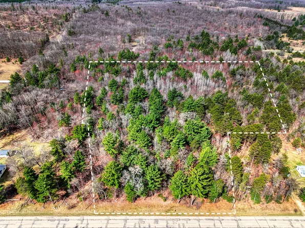 N Cut Rd, Roscommon, MI 48653