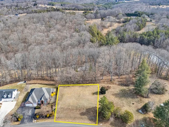 40 Cambridge Ct, Hardy, VA 24101