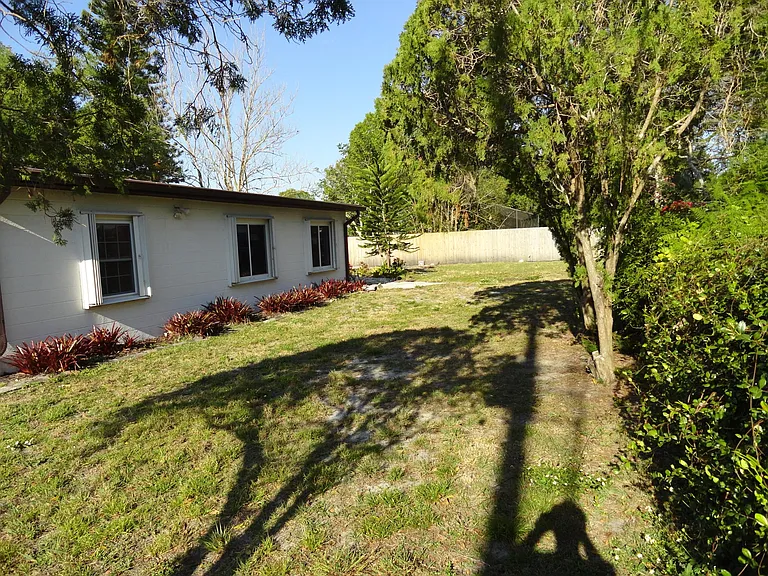 Back yard