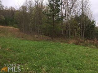 6566 Loving Rd, Morganton, GA 30560