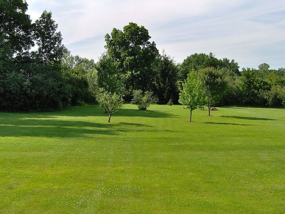 View of the Backyard