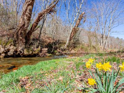 709 Beans Creek Rd, Bakersville, NC, 28705