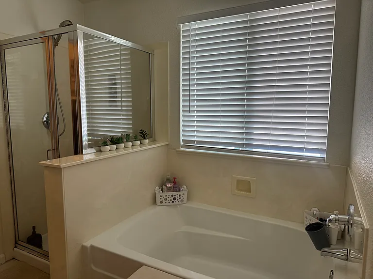 Master bathroom with shower and tub