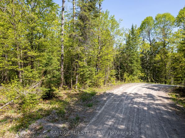 0 Johnson Rd, North Kawartha, ON K0L 1A0