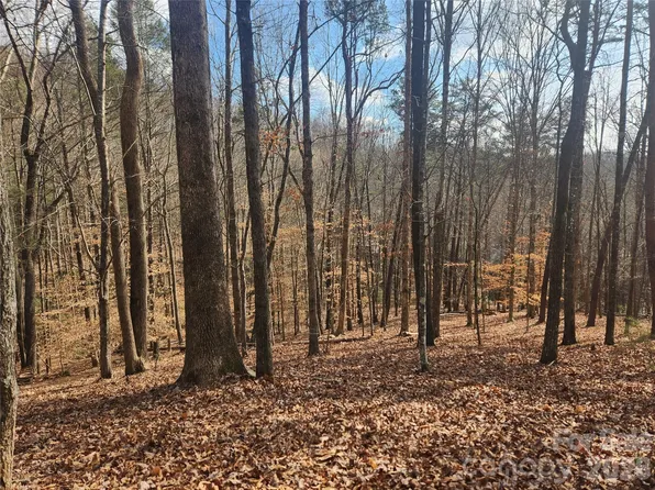 LOT 83 Walnut Ln, Lake Lure, NC 28746