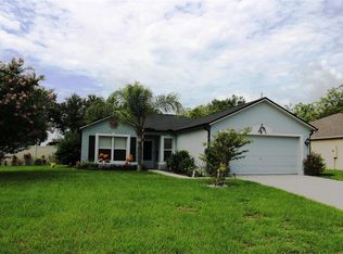 10002 Water Fern Cir, Clermont, FL 34711