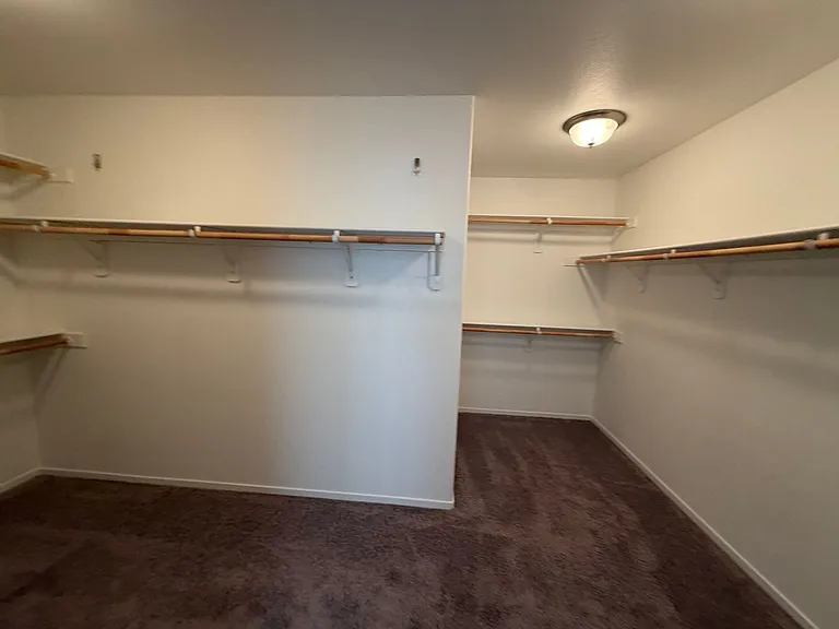 9752 Silver Dollar Ln — Photo 18