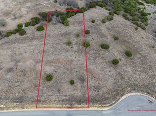 3336 Bounty Dr, Cresson, TX 76035