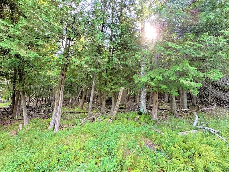 Caledonia St, Hubbard Lake, MI 49747 Zillow