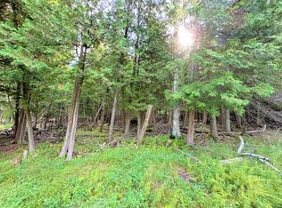 Caledonia St, Hubbard lake, MI 49747