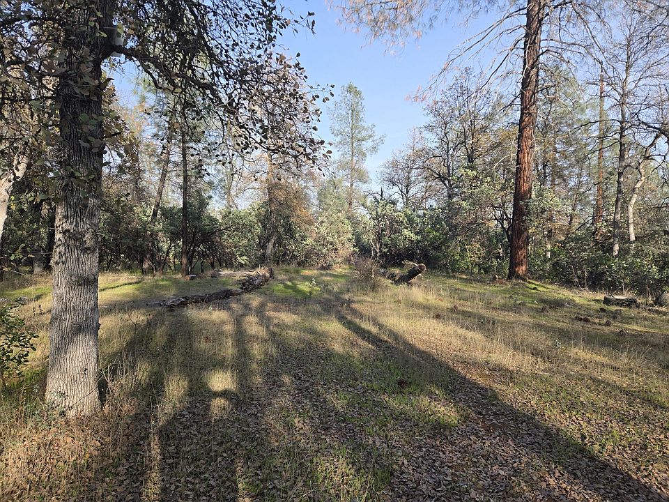 2nd image of Lake Blvd