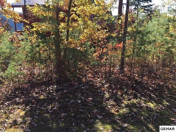 5th image of 107 Smoky Cove Rd Lot 107