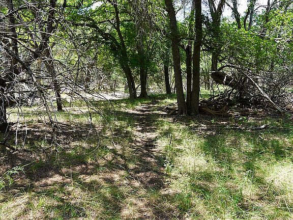 3rd image of LOT-511A Mountain Creek Trl