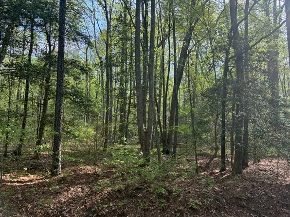 LOT 12 Cod Creek Dr, Heathsville, VA 22473