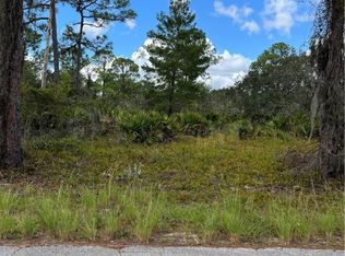 549 Vanguard Ave NW, Lake Placid, FL 33852