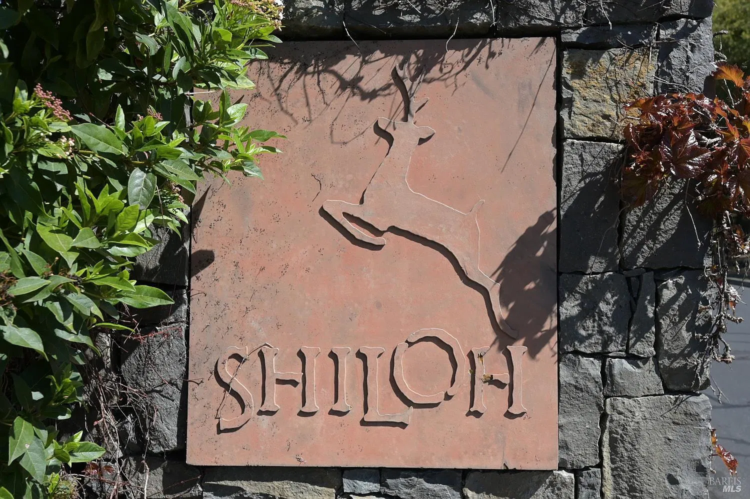 4525 Shiloh Ridge - Photo 9