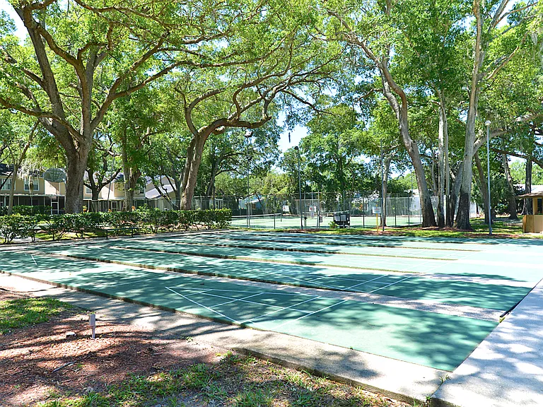 Shuffle Board_02172023