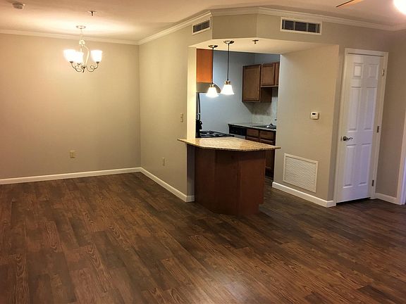 Living Room / Dining Area / Kitchen