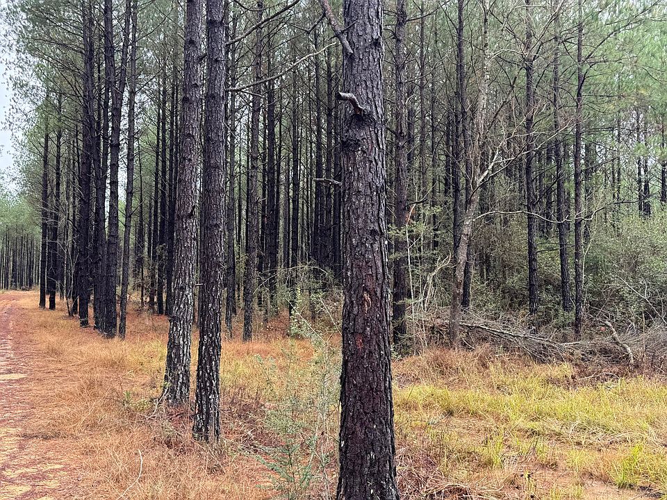 2nd image of 811 Old River Rd