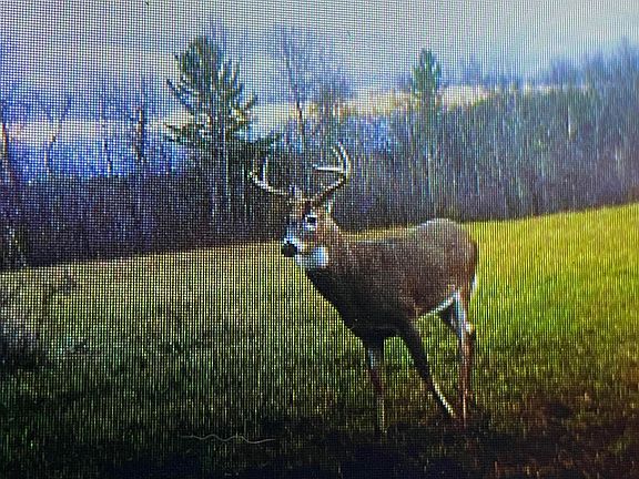 5th image of 4087 Four Mile Rd