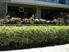 Patio with entrance from living room and Master bedroom