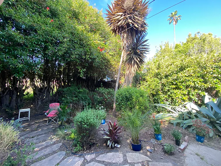 Rear garden