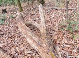 Tbd Waterfall Rd, Sparta, NC 28675