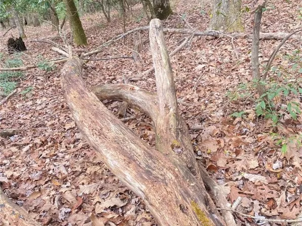 TBD Waterfall Road, Sparta, NC 28675