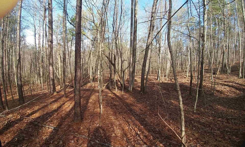 2nd image of 0 Hopkins Rd