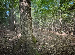 Wright Rd LOT WP001, Candor, NY 13743