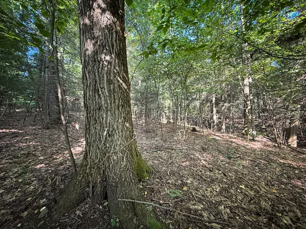Wright Rd Lot Wp001, Candor, NY 13743