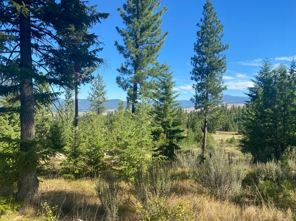 27 Bighorn Blf, Plains, MT 59859