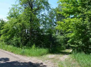 V L Sheridan Line, Croswell, MI 48422