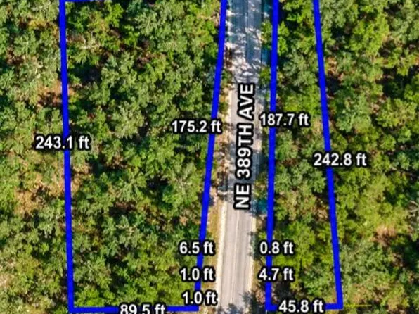 855 NE 389TH Avenue, Old Town, FL 32680