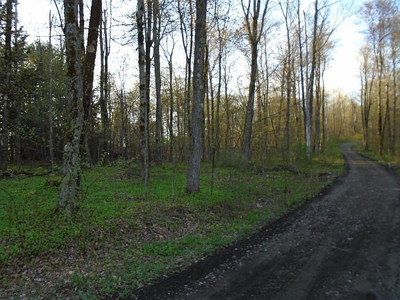 2nd image of Woodpecker Ln