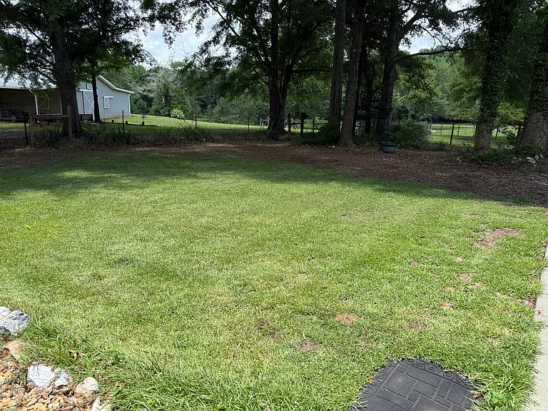 Back side yard green space.