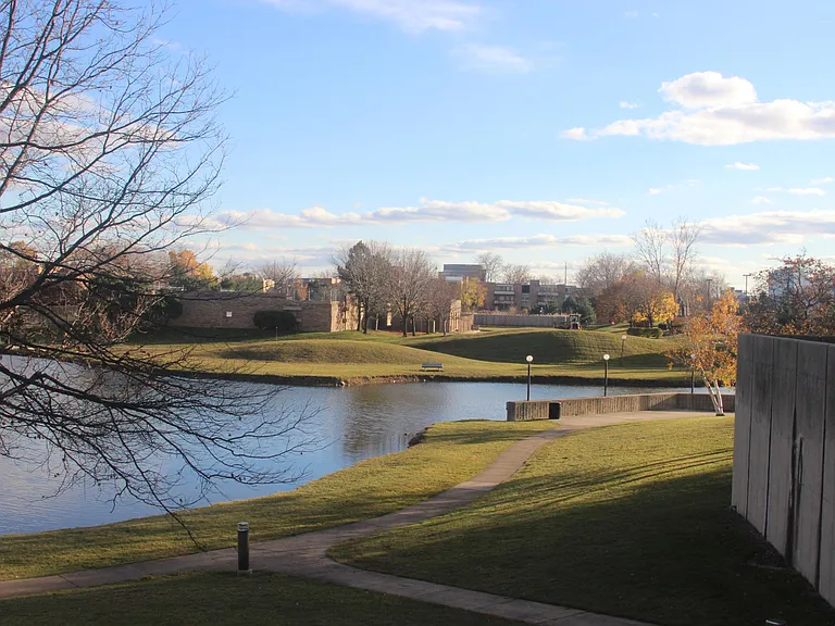 Pond
