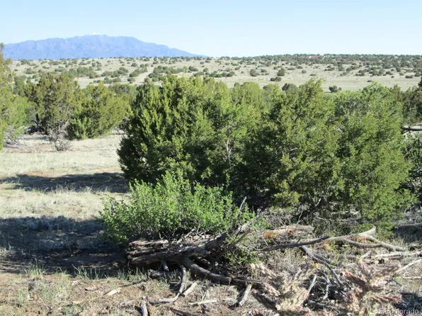 Lot 342 Rio Cucharas LOT 342, Walsenburg, CO 81089