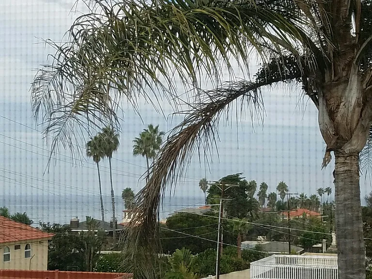 north view