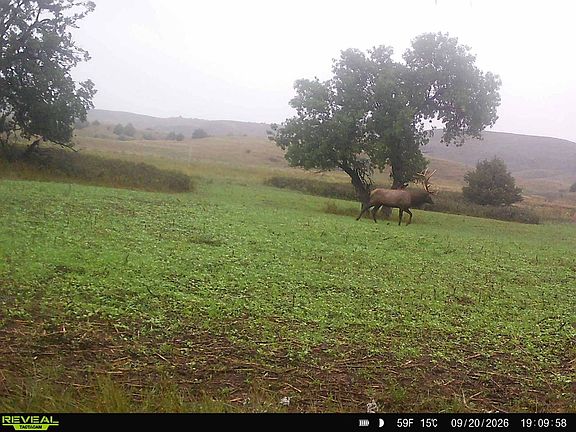 2nd image of Wp1
