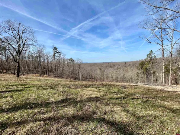 5 Ramblewood Trl, Yellville, AR 72687
