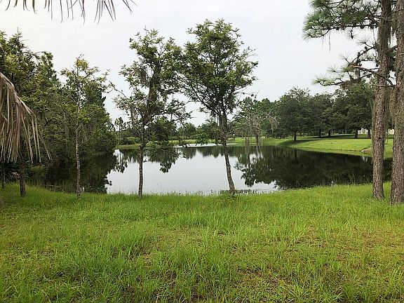 Pond View