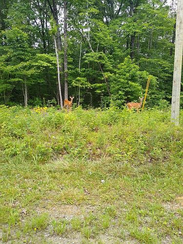 1st image of 152 Beachwood Dr