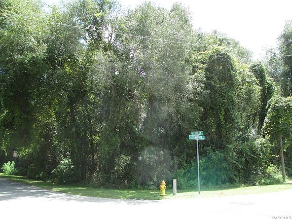 2nd image of 1012 E McKinley St